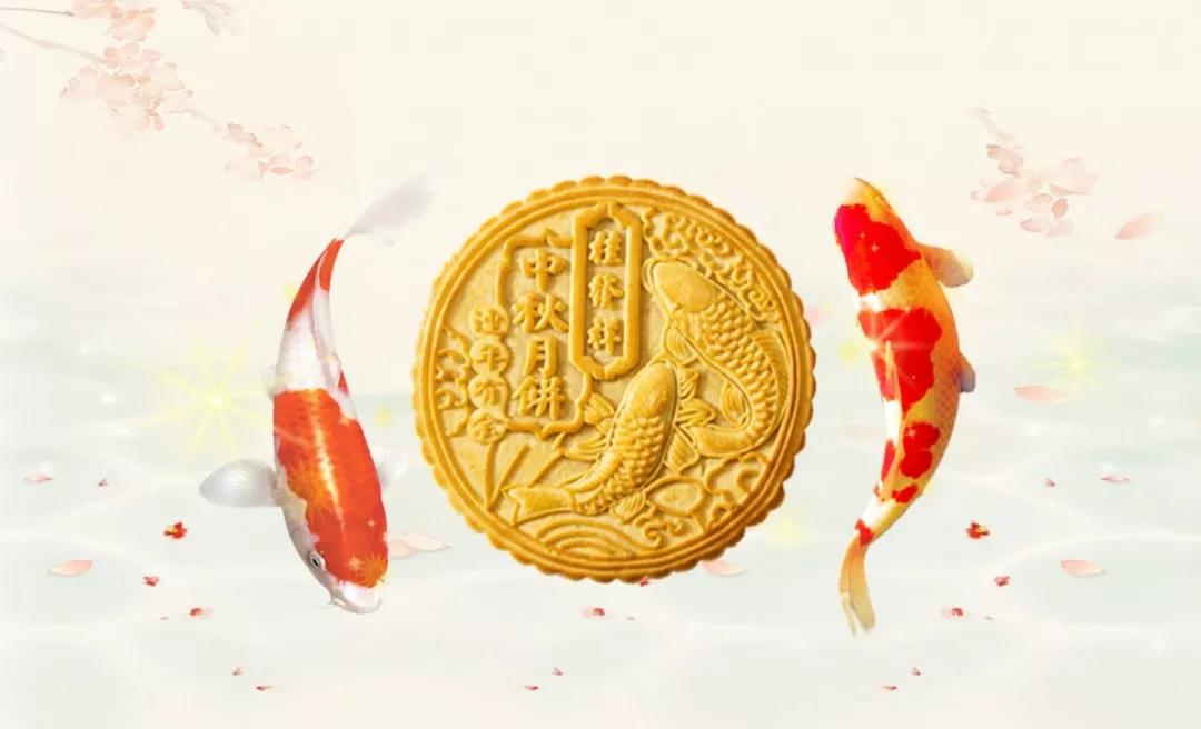 EZPAYǮ����(�й���) - �ٷ���վ