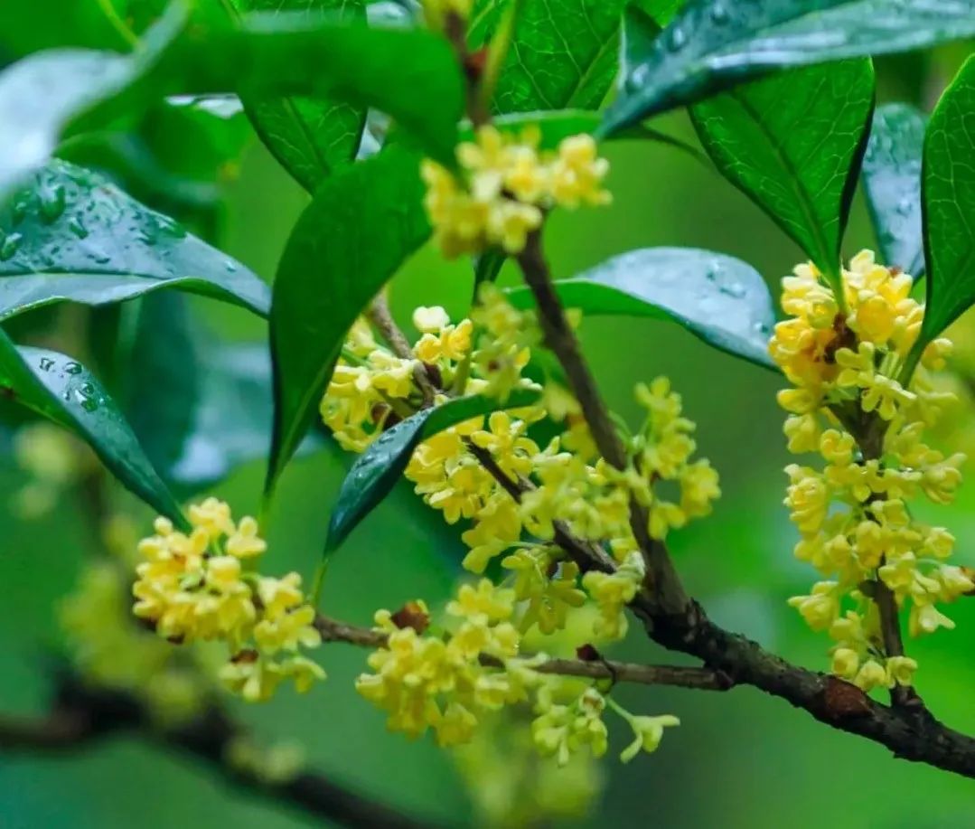 5169237ed4d4292ab09351ef74678c68